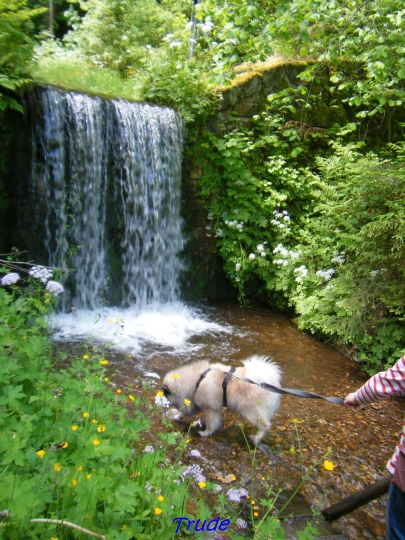 20.5.2024 - Wasserfall bestaunen